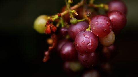aliments de testostérone aux raisins rouges