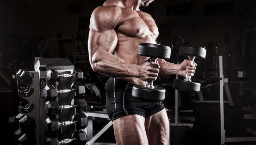 men sport bodybuilding Bodybuilder muscles 10499.jpgd